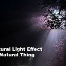 20 Stunning Examples Of Natural Light Effect Photography